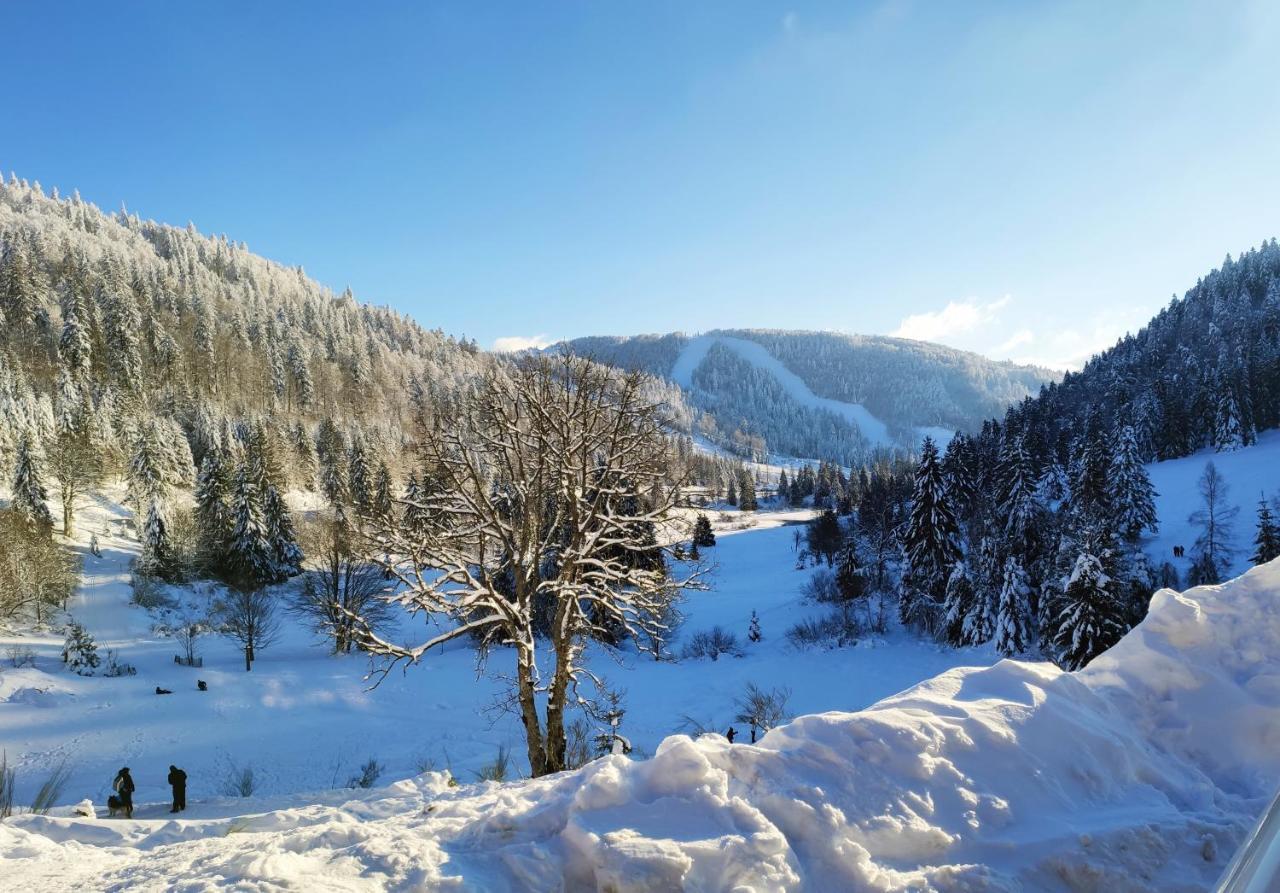 La Bresse - Appartement De Charme Bagian luar foto