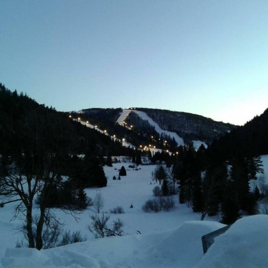La Bresse - Appartement De Charme Bagian luar foto